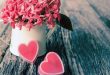 Як та де відмічатимуть вінничани День Закоханих 2018?